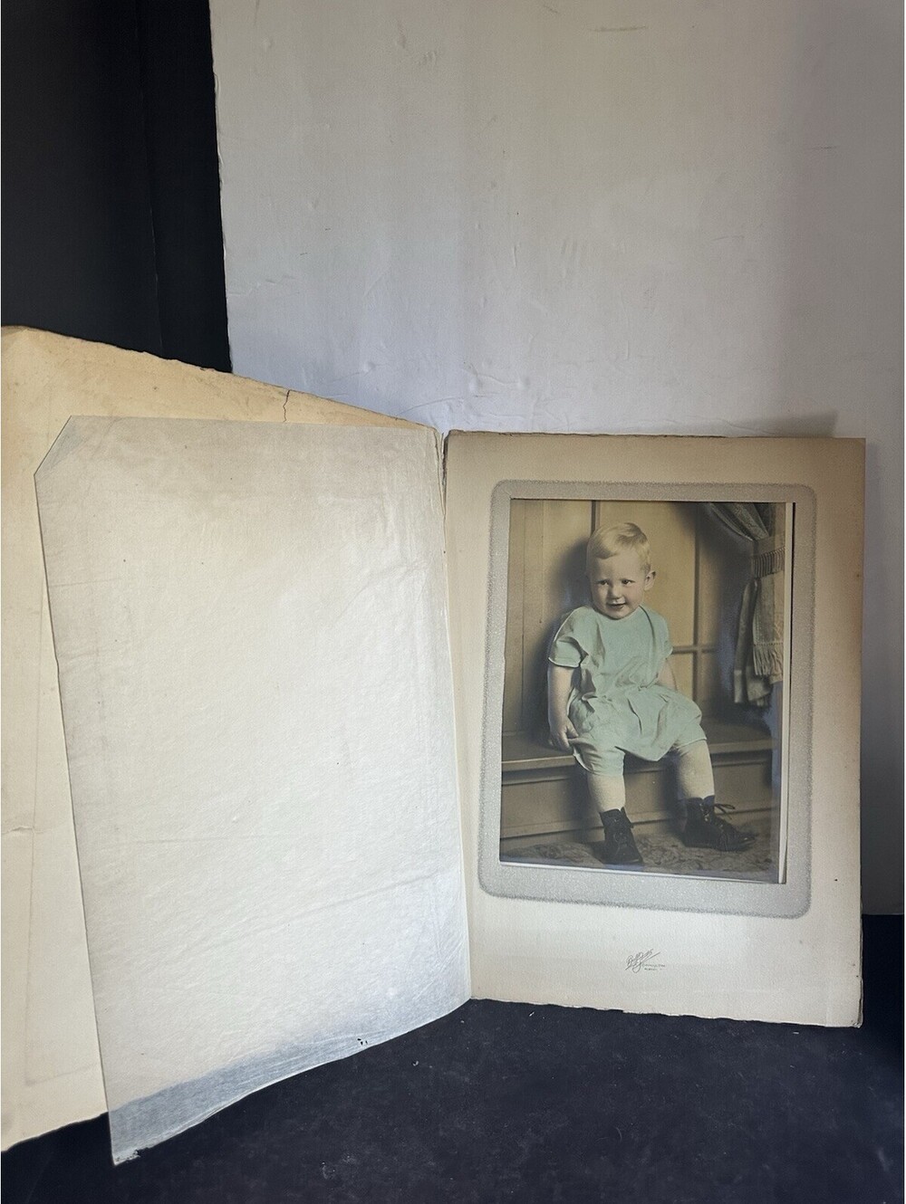 Antique Hand Colored Child Portrait Photo Ball Studio Oregon 15x11 Vintage